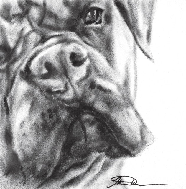 πΆ Pick Your Nose β Original Dry Brush Oil Paintings π¨ - Pet Portraits