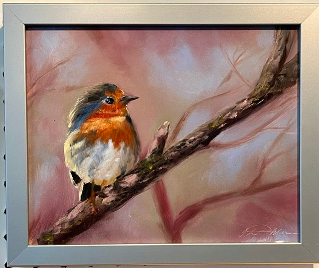 "European Robin" original oil painting 8x10"