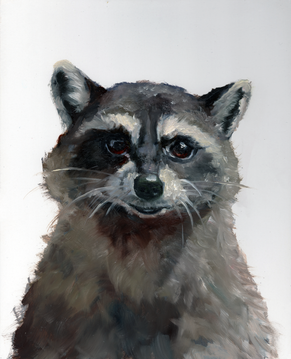 "Gaze of Mischief: Raccoon's Encounter" original oil painting 8" x 10"