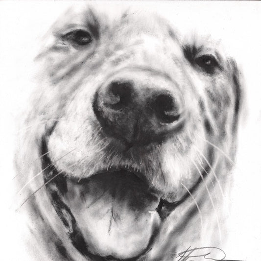 🐶 Pick Your Nose – Original Dry Brush Oil Paintings 🎨 - Pet Portraits
