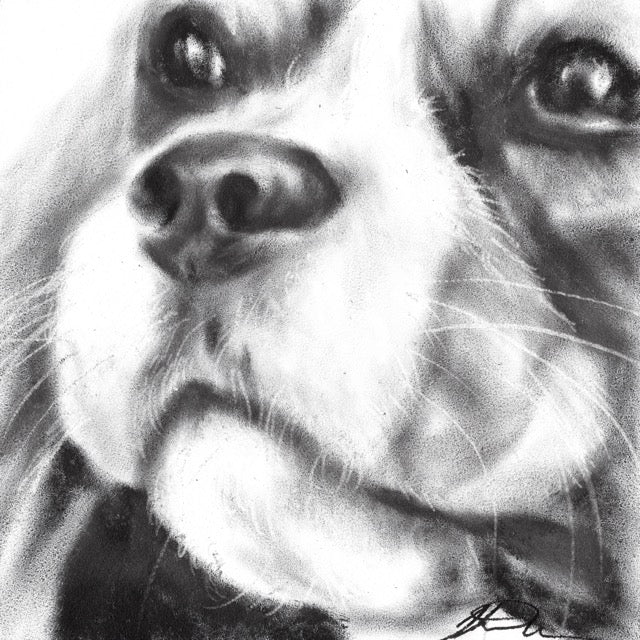 πΆ Pick Your Nose β Original Dry Brush Oil Paintings π¨ - Pet Portraits