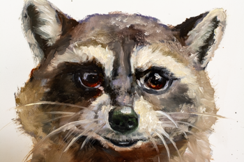 "Gaze of Mischief: Raccoon's Encounter" original oil painting 8" x 10"