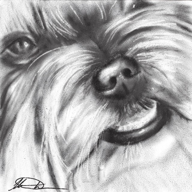 πΆ Pick Your Nose β Original Dry Brush Oil Paintings π¨ - Pet Portraits
