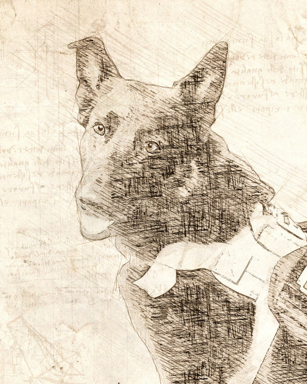 Custom Davinci Drawing Pet Portrait