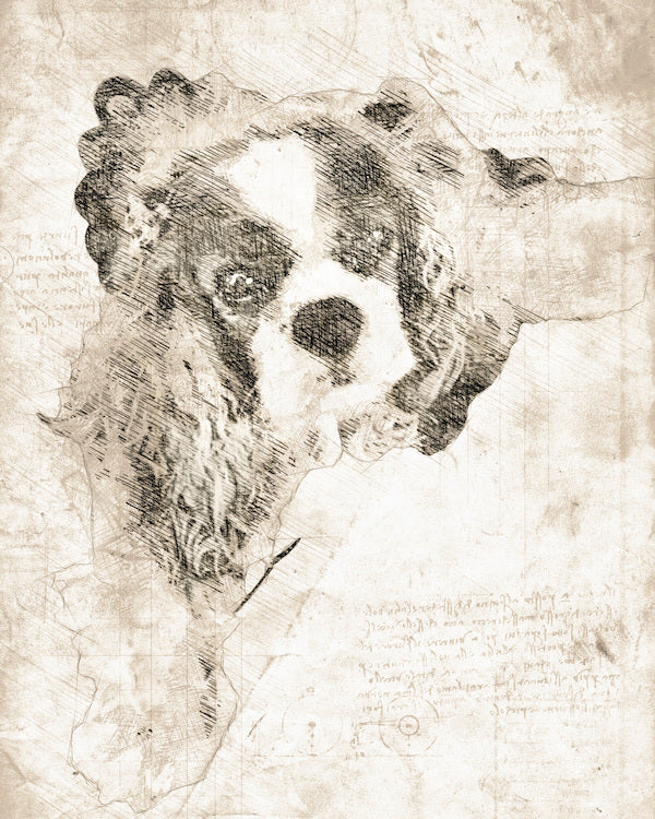 Custom Davinci Drawing Pet Portrait