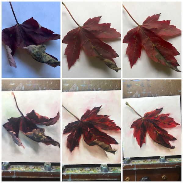 All 3 leaf paintings with the original reference images