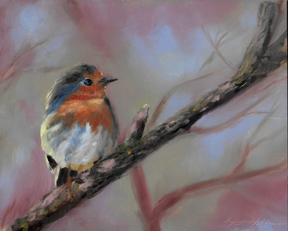 "European Robin" original oil painting 8x10"