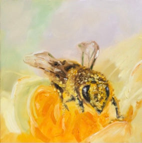 "Soft Bee - Pretty Bee" Bee Original Oil Painting 6x6"