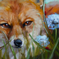 "Golden Serenity: Fox in a Field of Dandelions" Original Oil Painting 8x10"