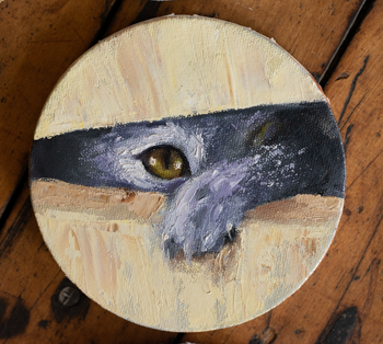 "Portraits of Curiosity: Animals Through the Porthole Collection" 4 Original Oil Paintings 5" x 5"