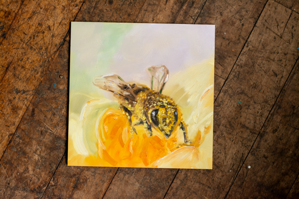"Soft Bee - Pretty Bee" Original Oil Painting 6" x 6"