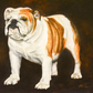 custom pet portrait