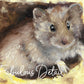 Original Oil Painting - Mouse In Cheese "Busted" 6x6"