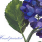 Purple Hydrangea 8x10" Original Oil Painting