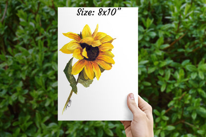 Original Oil Painting: 8x10" Sunflower