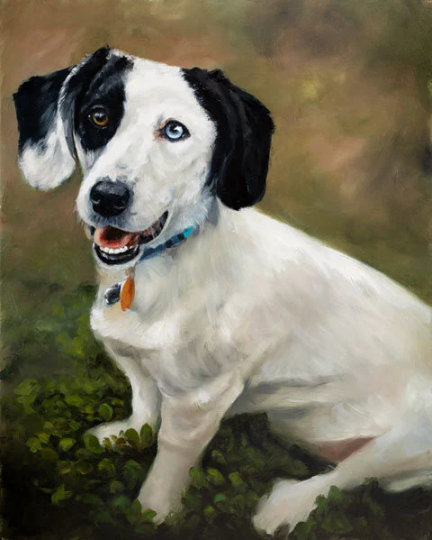 Custom Oil pet portrait