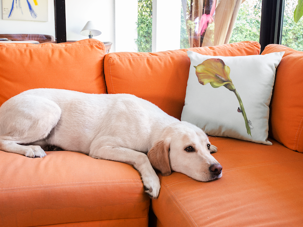 Calla Lily with Lady Bug Indoor Pillow and Outdoor Pillow